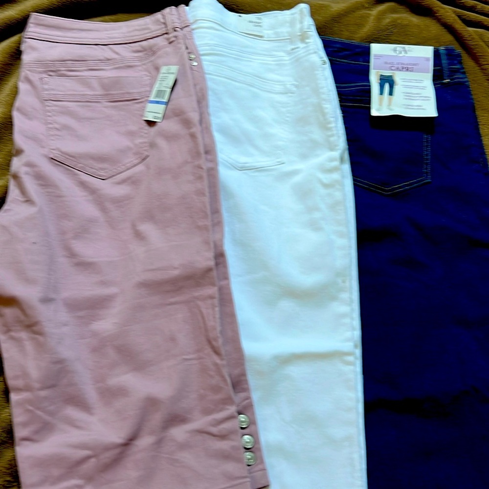 Lot of 3 Gloria Vanderbilt Capris NWT